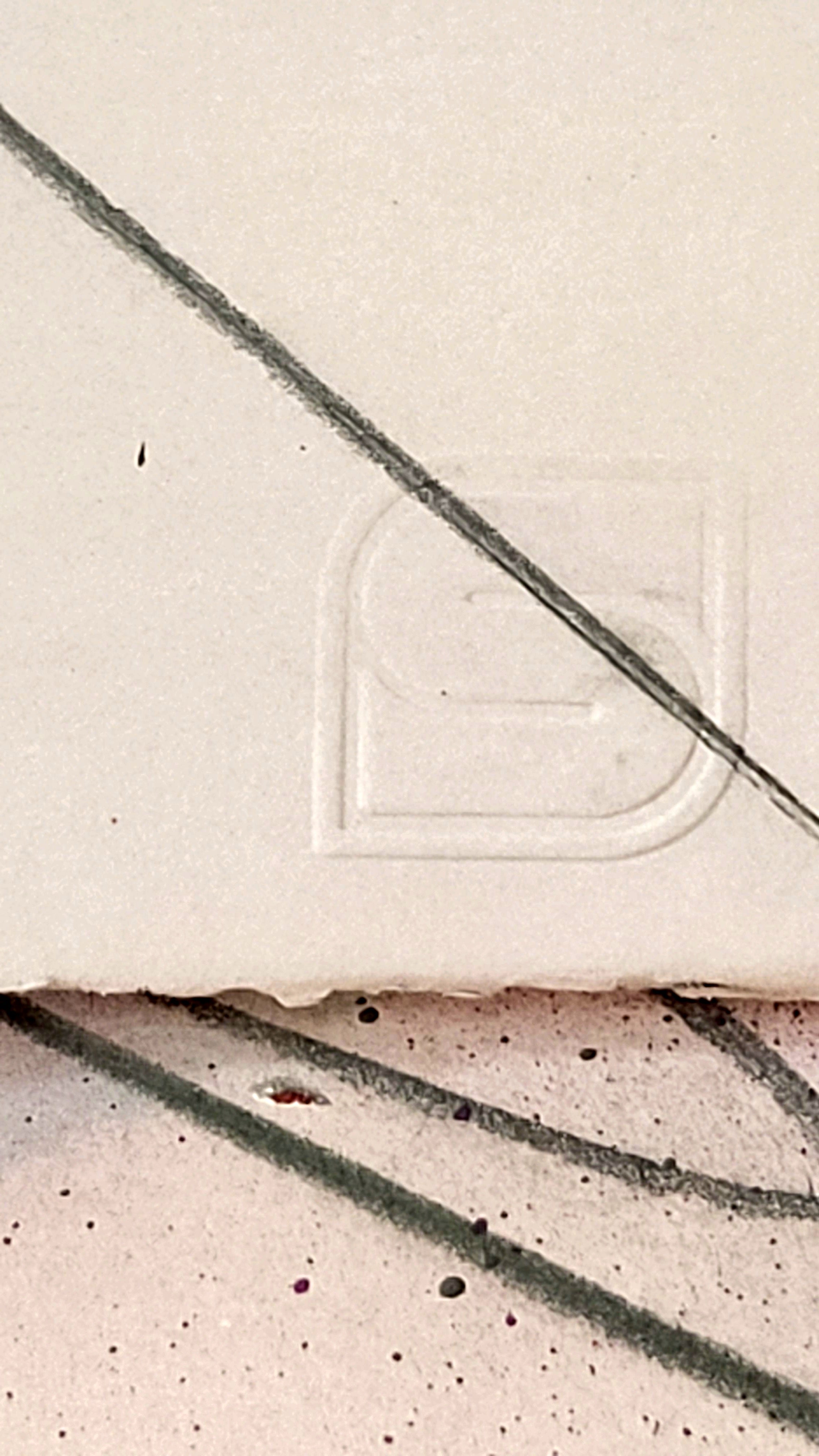 INDIVISIBLE - BLACK & GREY HPM SERIGRAPH