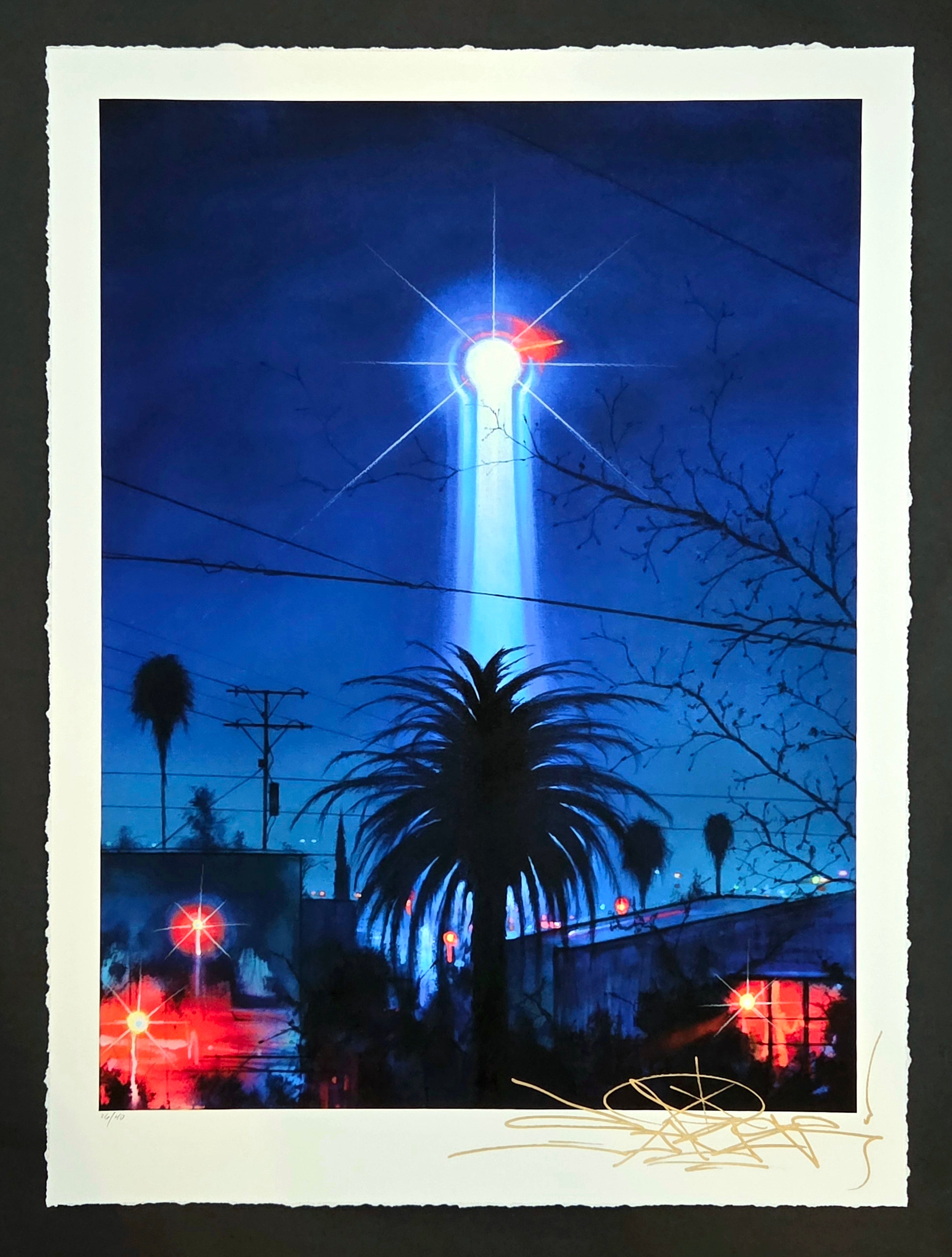 LAPD HELI 213 PRINT